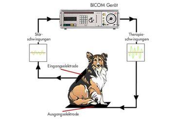 Funktionsweise der BICOM-Therapie erklärt 
